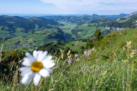 Video vom Hausberg Roggenstock