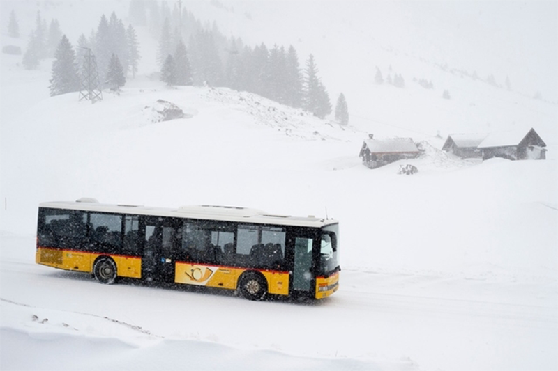 Gratis Bus